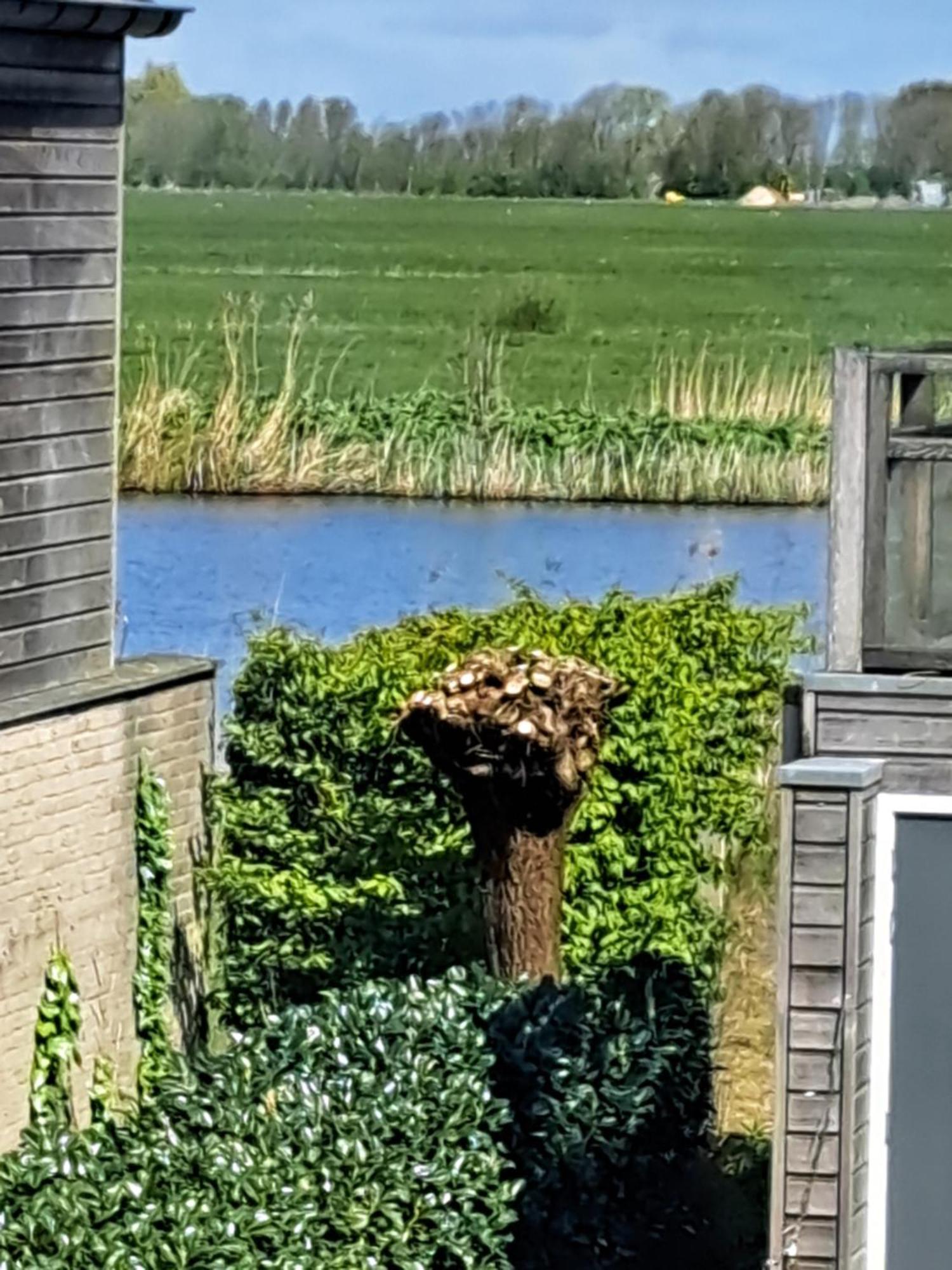 Fries Vakantiehuis, grote tuin, nabij het Pikmeer Grou Buitenkant foto